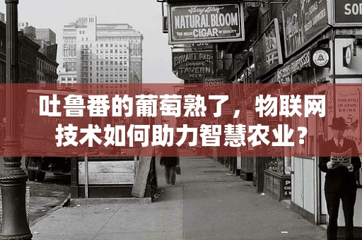 吐鲁番的葡萄熟了，物联网技术如何助力智慧农业？