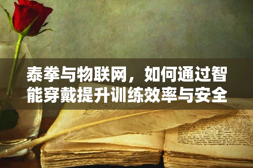 泰拳与物联网，如何通过智能穿戴提升训练效率与安全性？