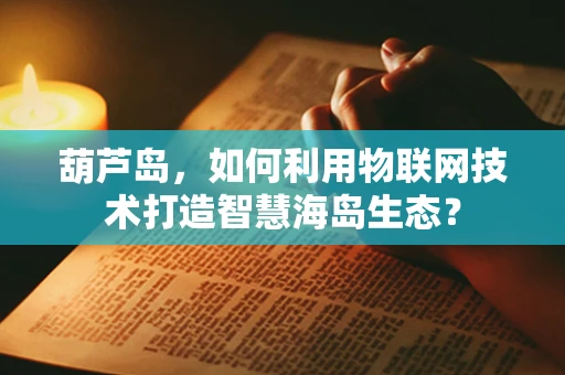 葫芦岛，如何利用物联网技术打造智慧海岛生态？