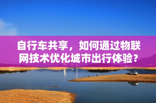 自行车共享，如何通过物联网技术优化城市出行体验？