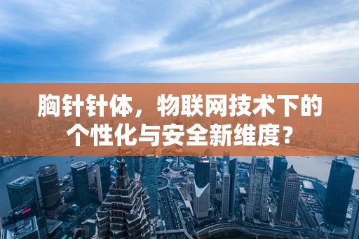 胸针针体，物联网技术下的个性化与安全新维度？
