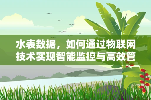 水表数据，如何通过物联网技术实现智能监控与高效管理？