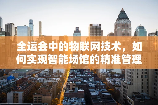 全运会中的物联网技术，如何实现智能场馆的精准管理？