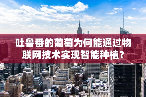 吐鲁番的葡萄为何能通过物联网技术实现智能种植？