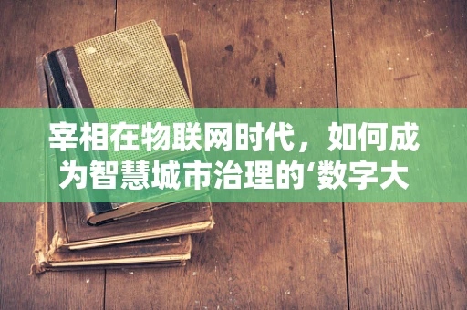 宰相在物联网时代，如何成为智慧城市治理的‘数字大脑’？