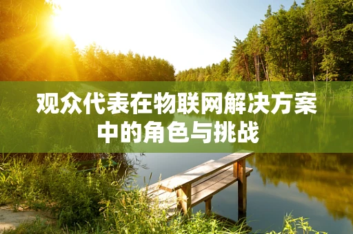 观众代表在物联网解决方案中的角色与挑战