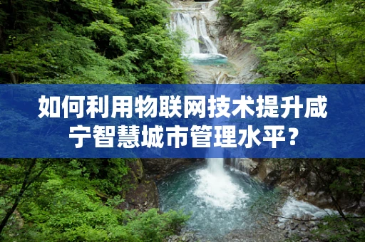 如何利用物联网技术提升咸宁智慧城市管理水平？