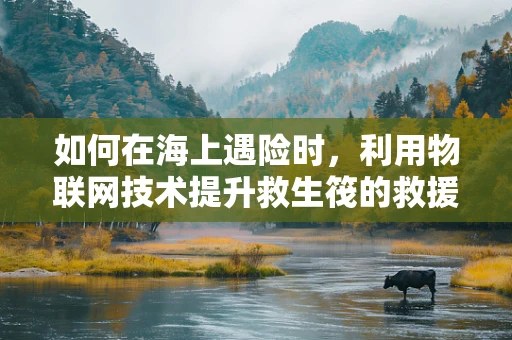 如何在海上遇险时，利用物联网技术提升救生筏的救援效率？