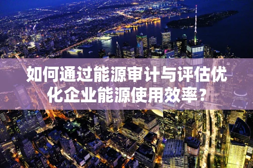 如何通过能源审计与评估优化企业能源使用效率？