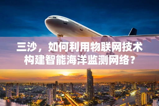 三沙，如何利用物联网技术构建智能海洋监测网络？