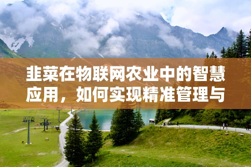 韭菜在物联网农业中的智慧应用，如何实现精准管理与高效收割？