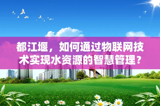 都江堰，如何通过物联网技术实现水资源的智慧管理？