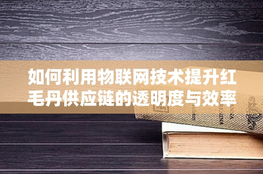 如何利用物联网技术提升红毛丹供应链的透明度与效率？