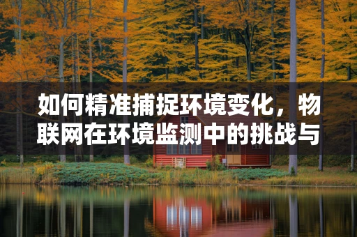 如何精准捕捉环境变化，物联网在环境监测中的挑战与机遇？