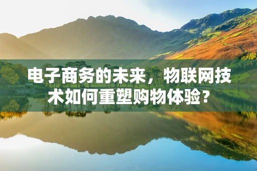 电子商务的未来，物联网技术如何重塑购物体验？