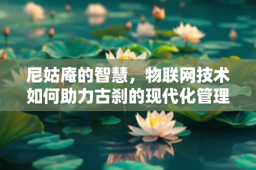 尼姑庵的智慧，物联网技术如何助力古刹的现代化管理？