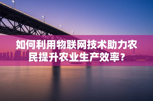 如何利用物联网技术助力农民提升农业生产效率？