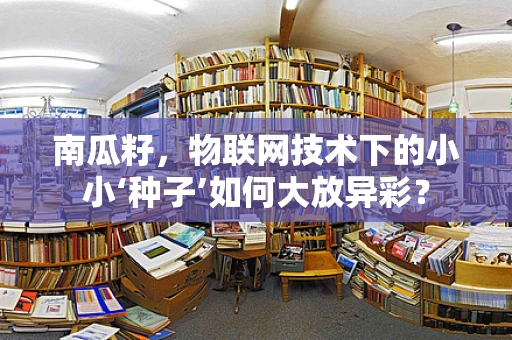 南瓜籽，物联网技术下的小小‘种子’如何大放异彩？