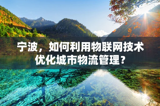 宁波，如何利用物联网技术优化城市物流管理？