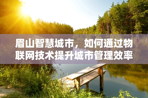 眉山智慧城市，如何通过物联网技术提升城市管理效率？