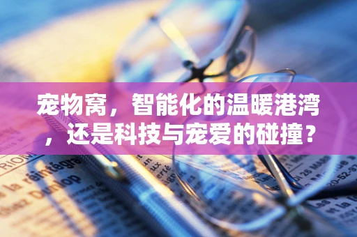 宠物窝，智能化的温暖港湾，还是科技与宠爱的碰撞？