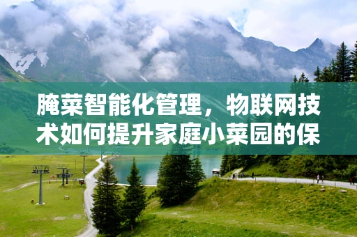 腌菜智能化管理，物联网技术如何提升家庭小菜园的保鲜与安全？