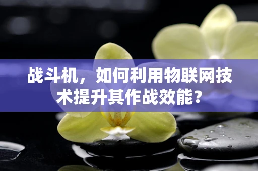 战斗机，如何利用物联网技术提升其作战效能？