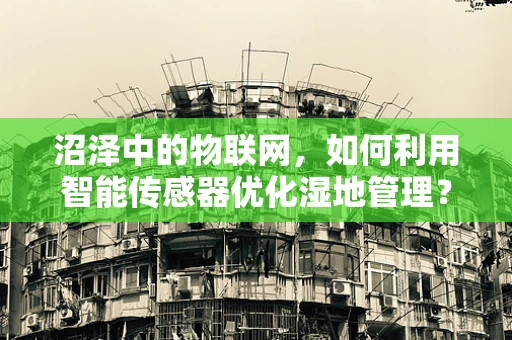 沼泽中的物联网，如何利用智能传感器优化湿地管理？