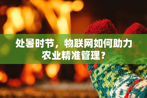 处暑时节，物联网如何助力农业精准管理？