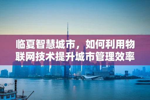 临夏智慧城市，如何利用物联网技术提升城市管理效率？