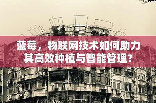 蓝莓，物联网技术如何助力其高效种植与智能管理？