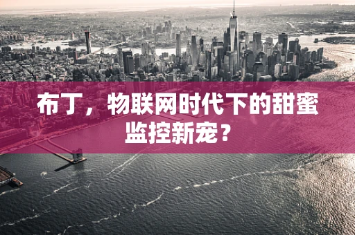 布丁，物联网时代下的甜蜜监控新宠？
