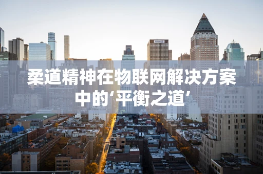 柔道精神在物联网解决方案中的‘平衡之道’