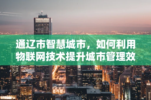 通辽市智慧城市，如何利用物联网技术提升城市管理效率？