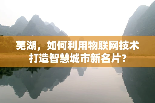 芜湖，如何利用物联网技术打造智慧城市新名片？