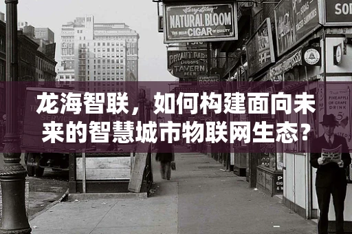 龙海智联，如何构建面向未来的智慧城市物联网生态？