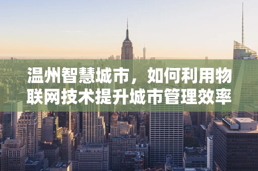 温州智慧城市，如何利用物联网技术提升城市管理效率？