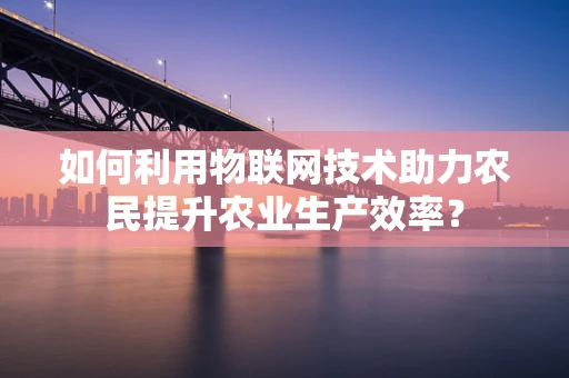 如何利用物联网技术助力农民提升农业生产效率？