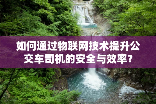 如何通过物联网技术提升公交车司机的安全与效率？