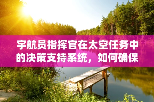宇航员指挥官在太空任务中的决策支持系统，如何确保高效与安全？