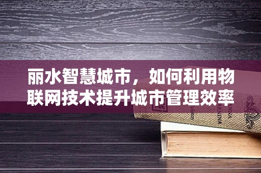 丽水智慧城市，如何利用物联网技术提升城市管理效率？