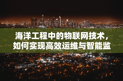 海洋工程中的物联网技术，如何实现高效运维与智能监测？