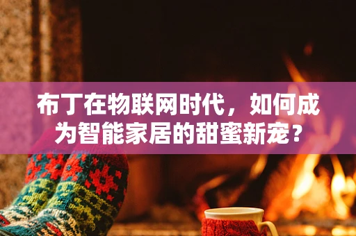 布丁在物联网时代，如何成为智能家居的甜蜜新宠？