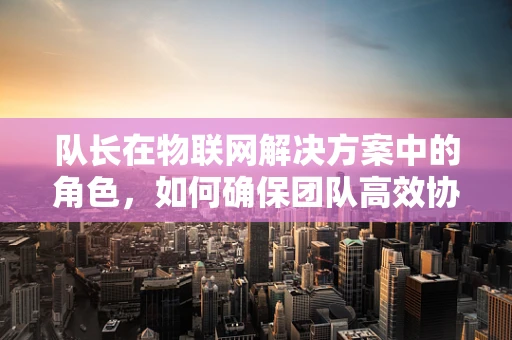 队长在物联网解决方案中的角色，如何确保团队高效协作与决策？
