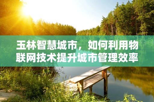 玉林智慧城市，如何利用物联网技术提升城市管理效率？