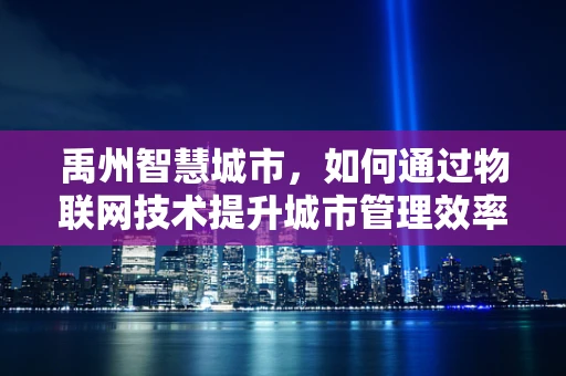 禹州智慧城市，如何通过物联网技术提升城市管理效率？