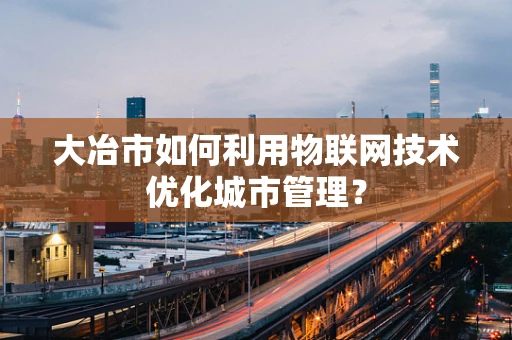 大冶市如何利用物联网技术优化城市管理？