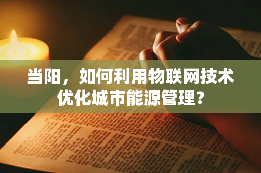 当阳，如何利用物联网技术优化城市能源管理？