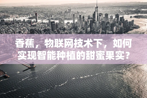香蕉，物联网技术下，如何实现智能种植的甜蜜果实？