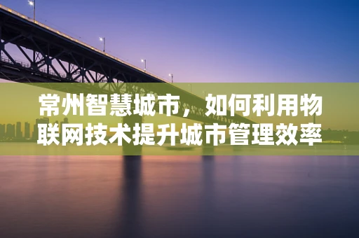 常州智慧城市，如何利用物联网技术提升城市管理效率？
